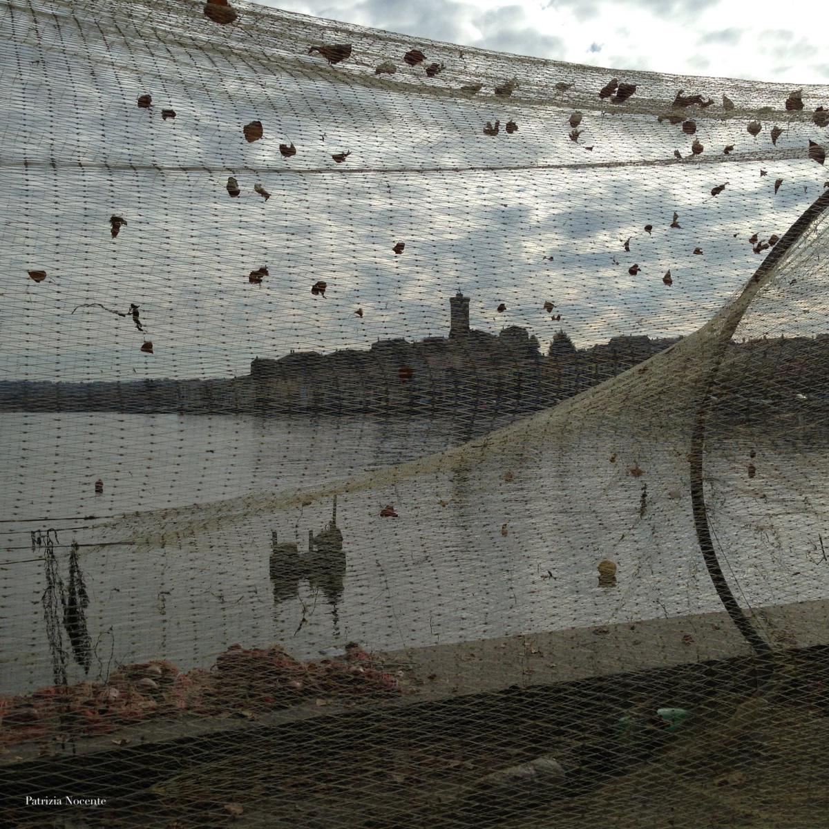 Comune di Marta (VT) Comune di Marta (VT)