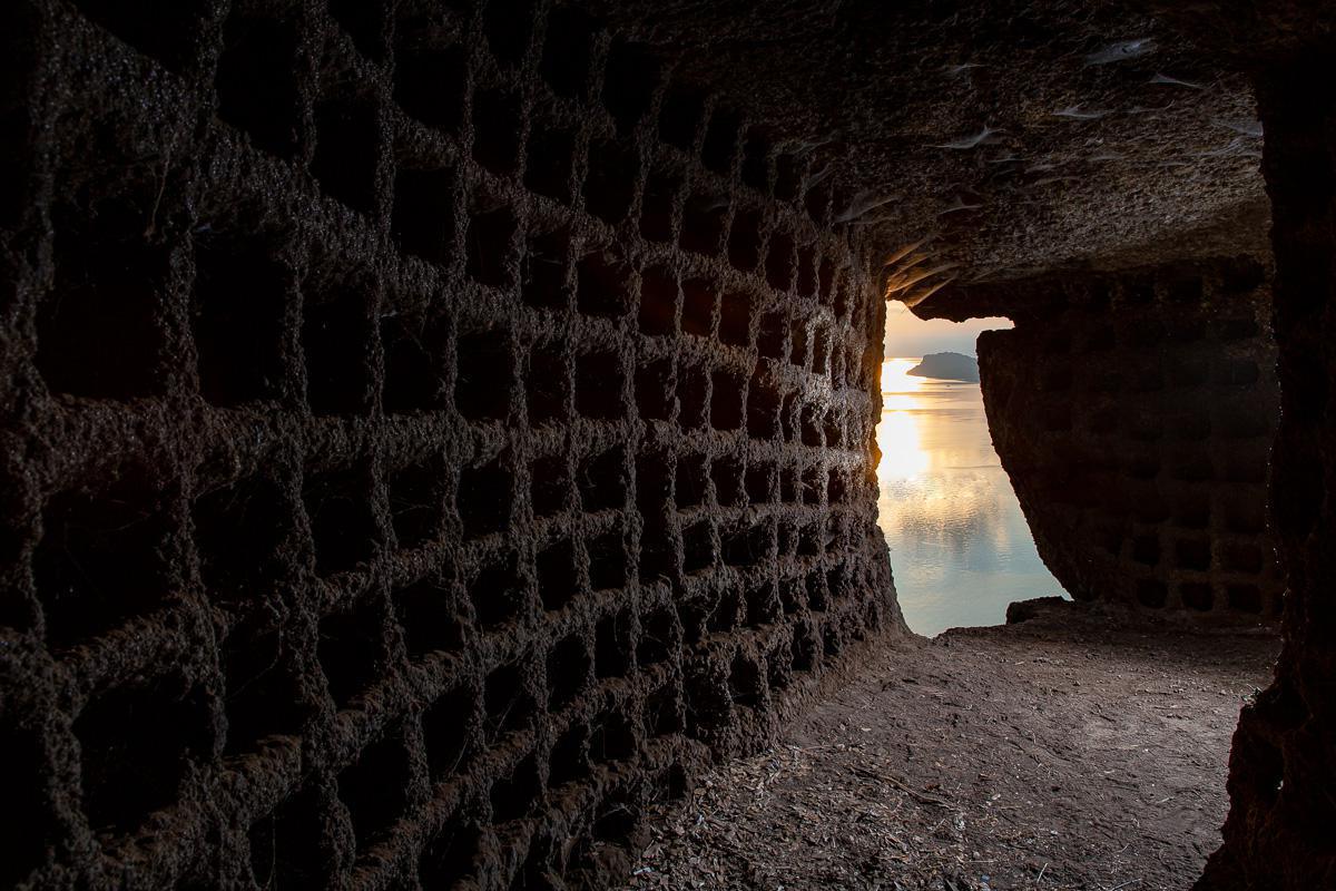 Comune di Capodimonte - Municipality of Capodimonte Comune di Capodimonte - Municipality of Capodimonte