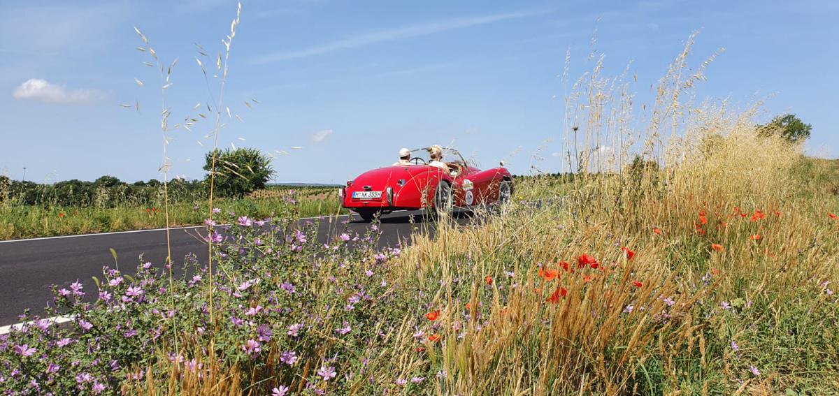 ASD ETRURIA HISTORIC RACING CLUB ASD ETRURIA HISTORIC RACING CLUB