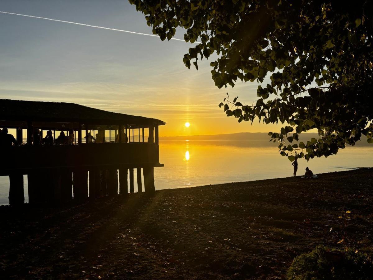 Trattoria DEL MORO - The Moor's Trattoria Trattoria DEL MORO - The Moor's Trattoria