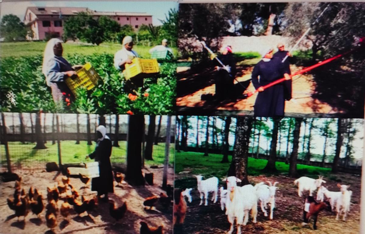 Monastero delle Benedettine Regina Pacis - Vetralla - Monastery of the Benedictine Sisters Regina Pacis - Vetralla Monastero delle Benedettine Regina Pacis - Vetralla - Monastery of the Benedictine Sisters Regina Pacis - Vetralla