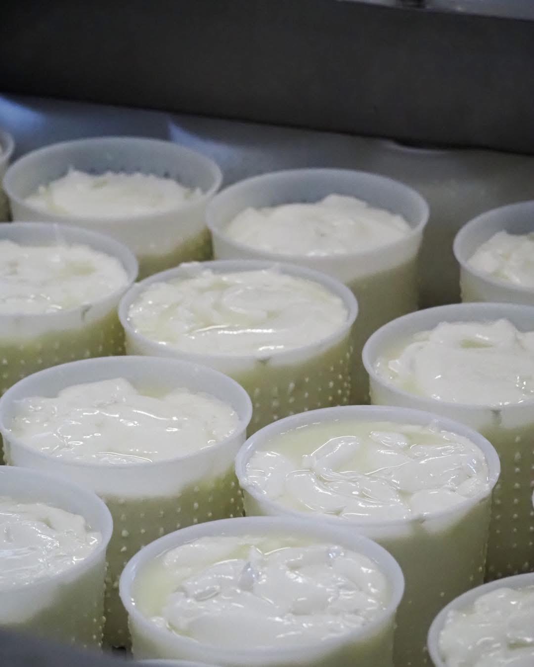 Azienda Agricola Monte Jugo - Monte Jugo Farm Azienda Agricola Monte Jugo - Monte Jugo Farm