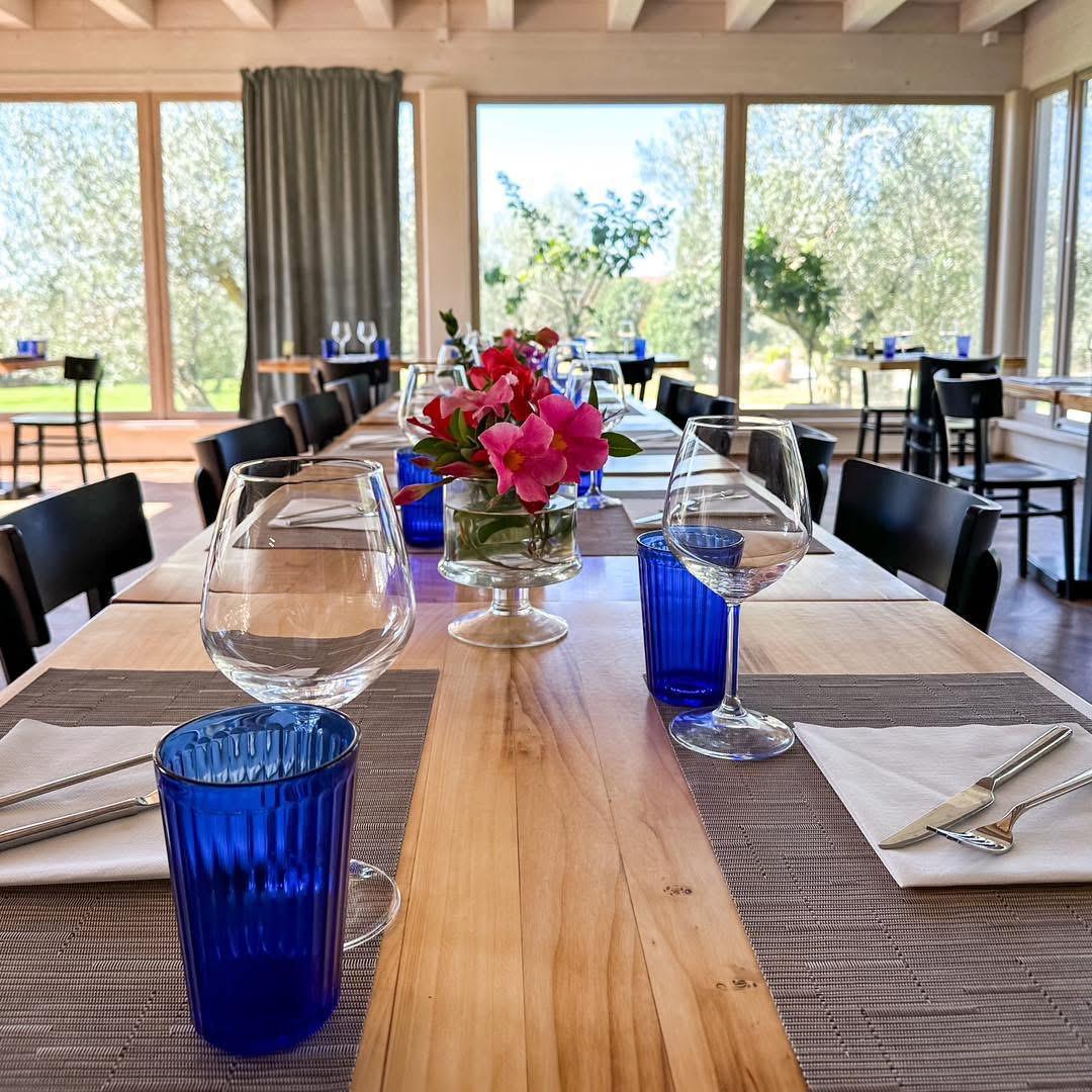 Azienda Agricola Monte Jugo Azienda Agricola Monte Jugo