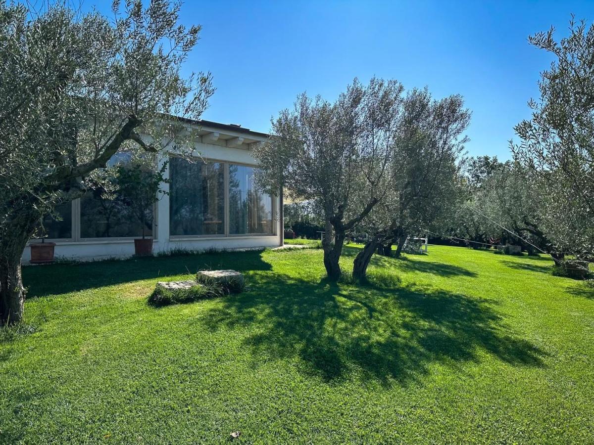 Azienda Agricola Monte Jugo Azienda Agricola Monte Jugo