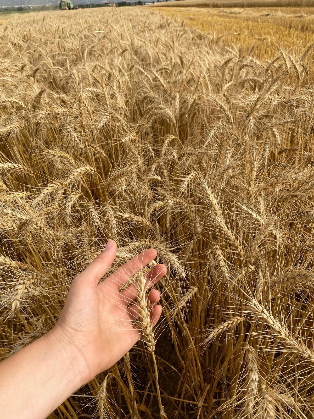 Azienda Agricola Monte Jugo