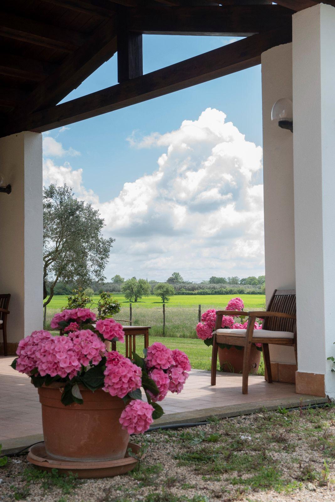 Agriturismo - La Vita è Bella 