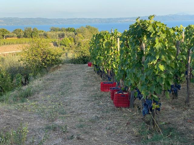 Le Coste 