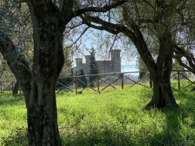 Bolsena