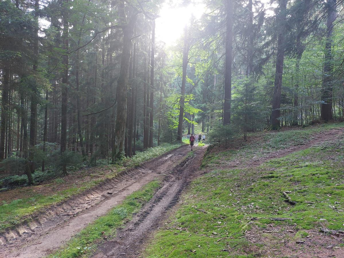 Comunione, preghiera e lavoro: il soggiorno estivo dei giovani con le sorelle e i fratelli Servi della Sofferenza in Repubblica Ceca Comunione, preghiera e lavoro: il soggiorno estivo dei giovani con le sorelle e i fratelli Servi della Sofferenza in Repubblica Ceca