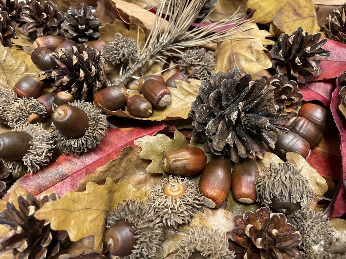 Rimedi per rafforzare le difese immunitarie