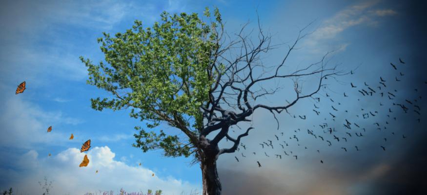 Une étude pour le financement du plan d'investissement climat du Sahel est en vue pour les prochaines semaines