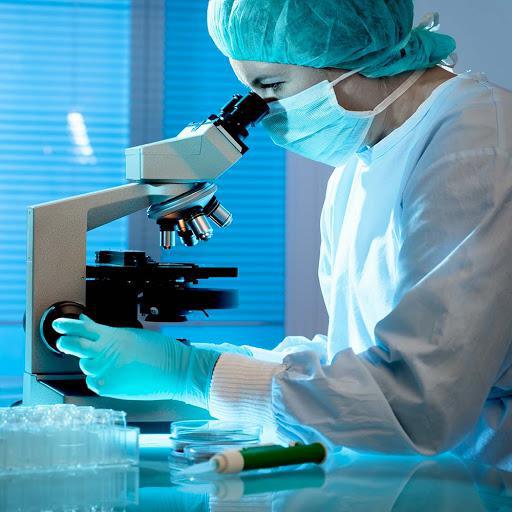 L'industrie pharmaceutique un créneau porteur