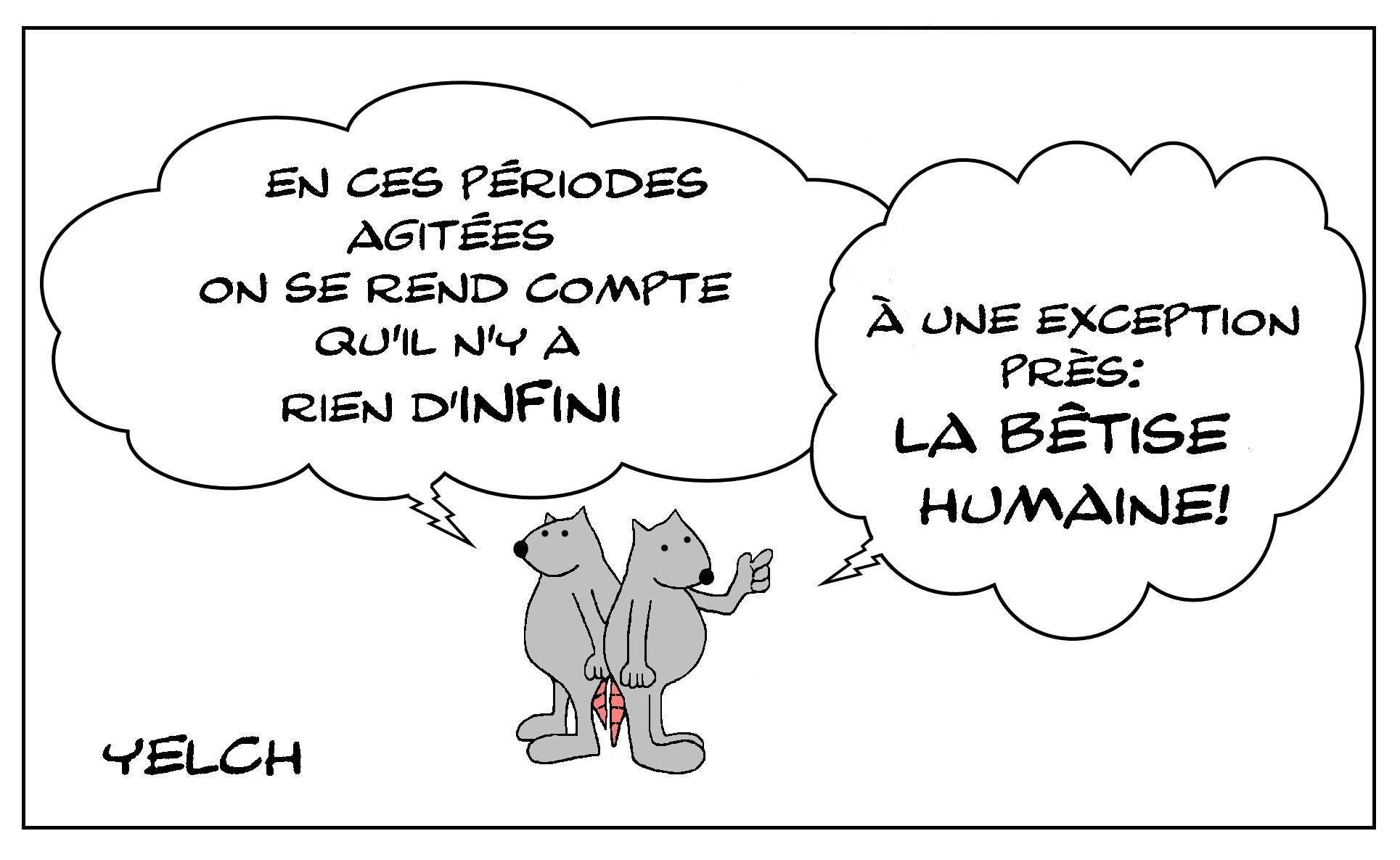 De l'indigence intellectuelle assumée, il n’y a rien à espérer