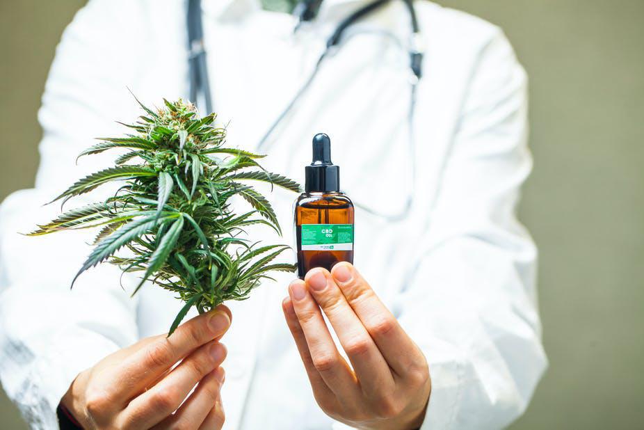 Il y a cannabis et cannabis
