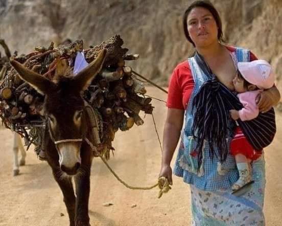 8 mars, hommage aux femmes inconnues