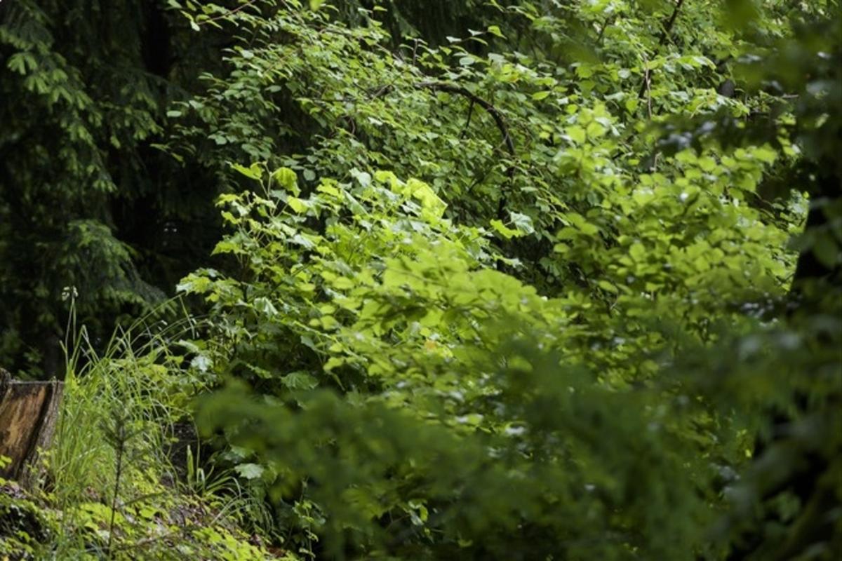 Campagne agricole : De bons signes en perspective