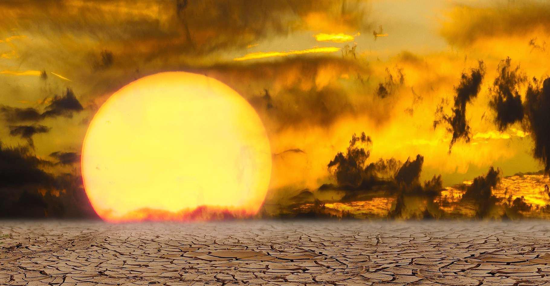 Climat : 2020 une année des plus sèches depuis 1981