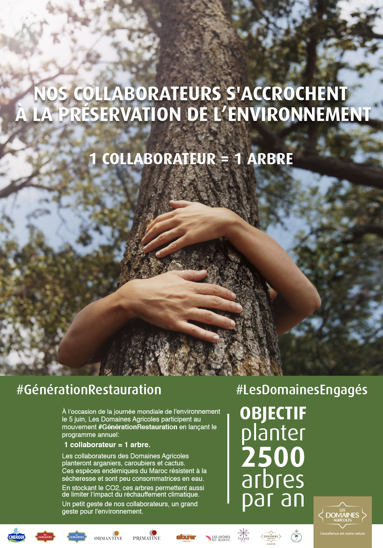 Les Domaines Agricoles : Plantation de 2500 arbres en un an
