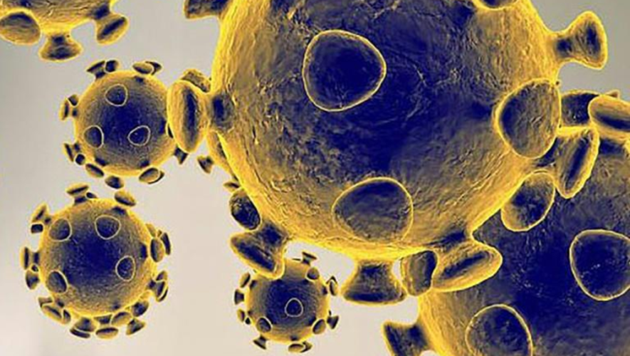 Après le variant Delta, d’autres mutations inquiètent les épidémiologistes : le C.1.2