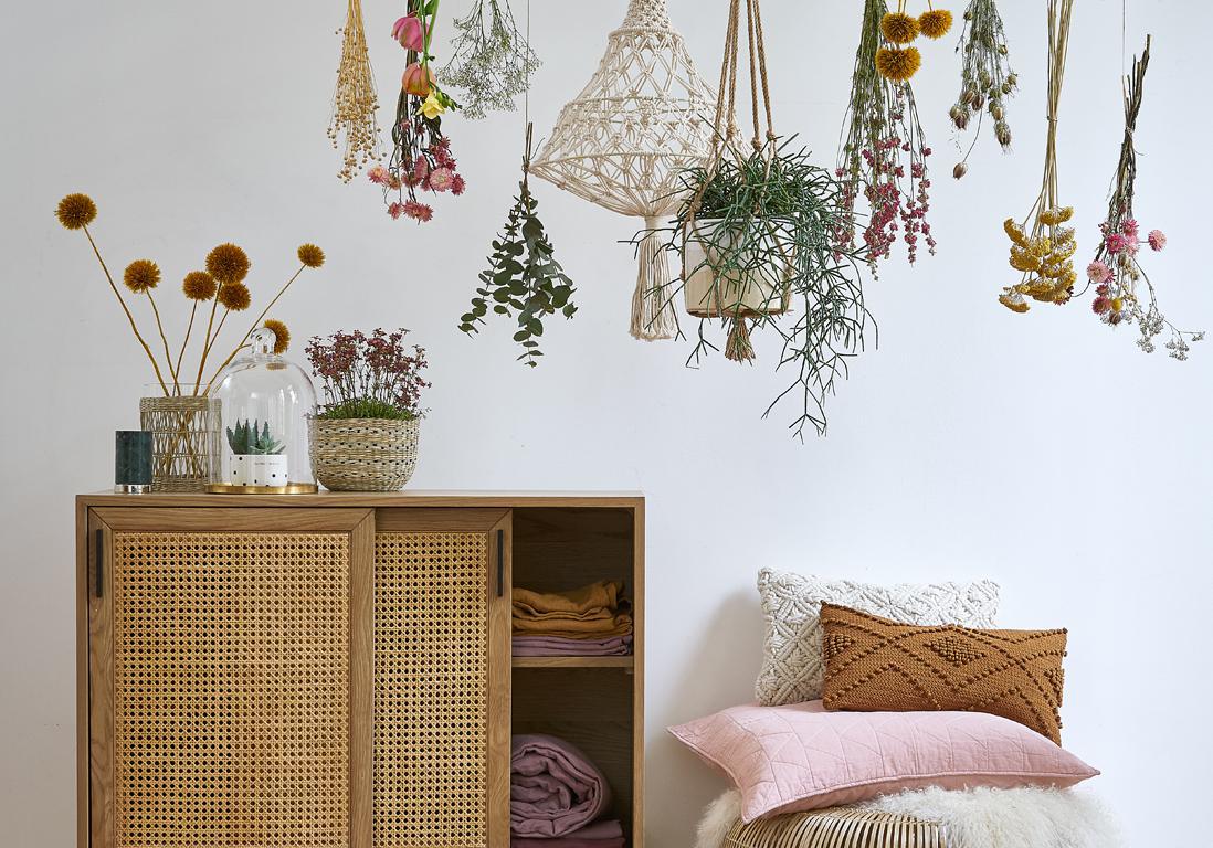 Sommeil : 5 plantes pour mieux dormir