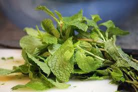 La menthe, oui la menthe simplement !