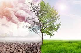 La décarbonation profitera-t-elle aux opérateurs économiques et industriels ?