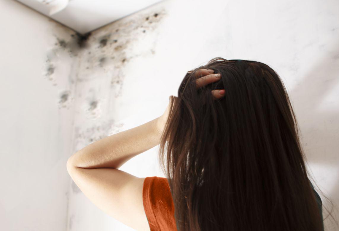 Des astuces pour éviter l'apparition de moisissures