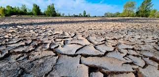 Appui à la gestion de la demande en eau dans un contexte de pénurie d’eau au Maroc