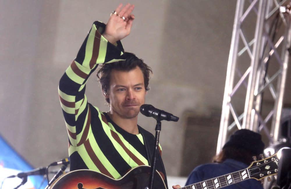 L'université du Texas proposera un cours sur Harry Styles