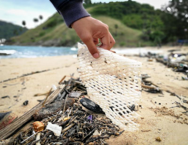 Et si vous contribuez à nettoyer les plages ?