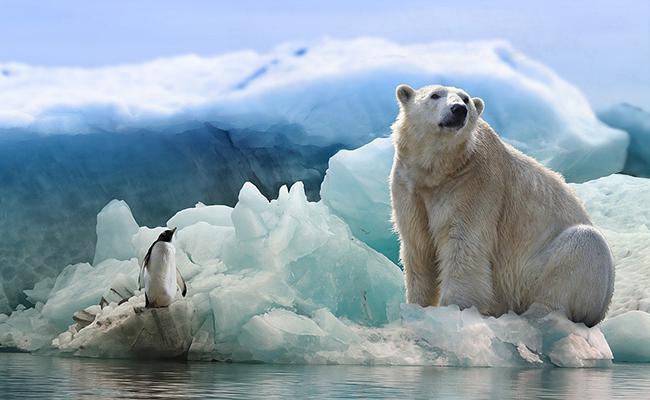 L’Arctique se réchauffe beaucoup plus vite que prévu