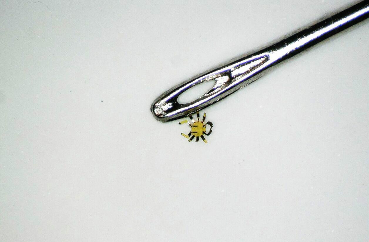 Le robot crabe, pas plus gros que le chas d'une aiguille.
