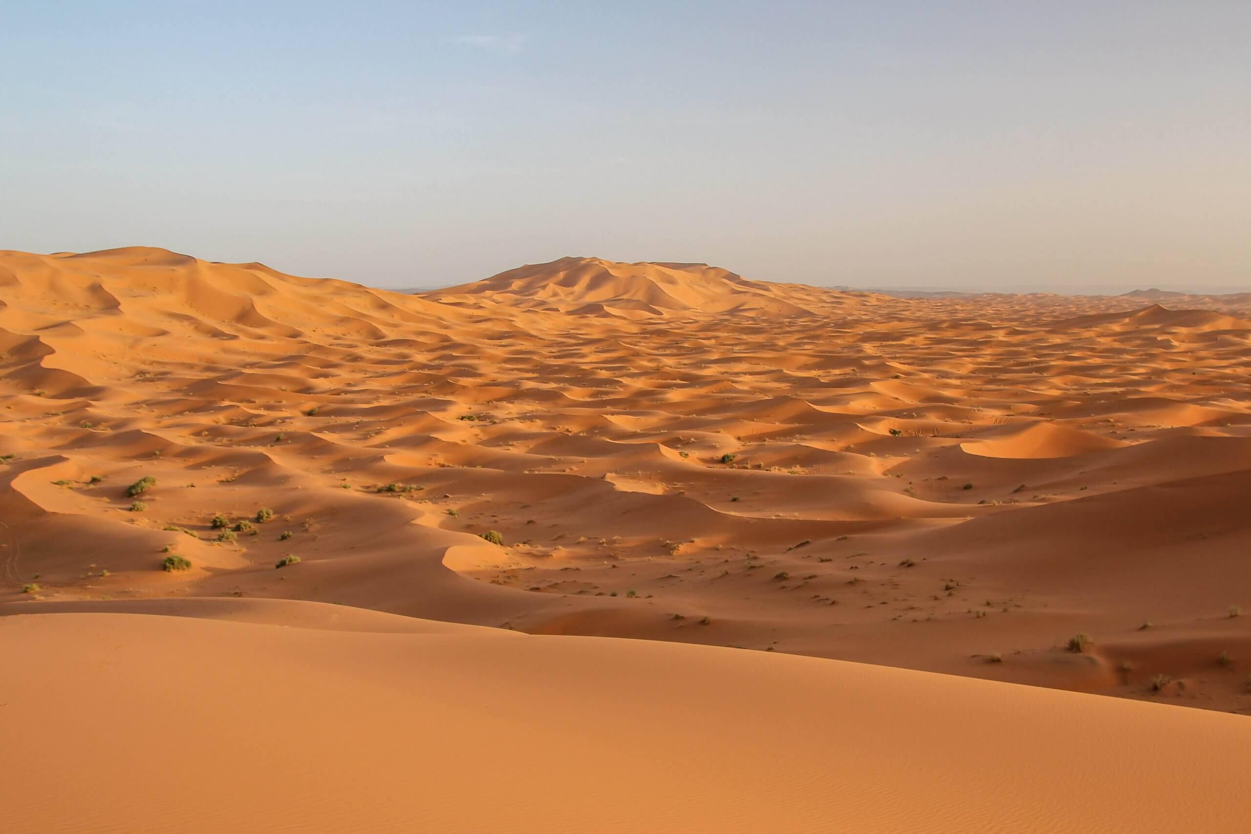 WhyNotFest : La 2ème édition aura lieu en novembre à Merzouga