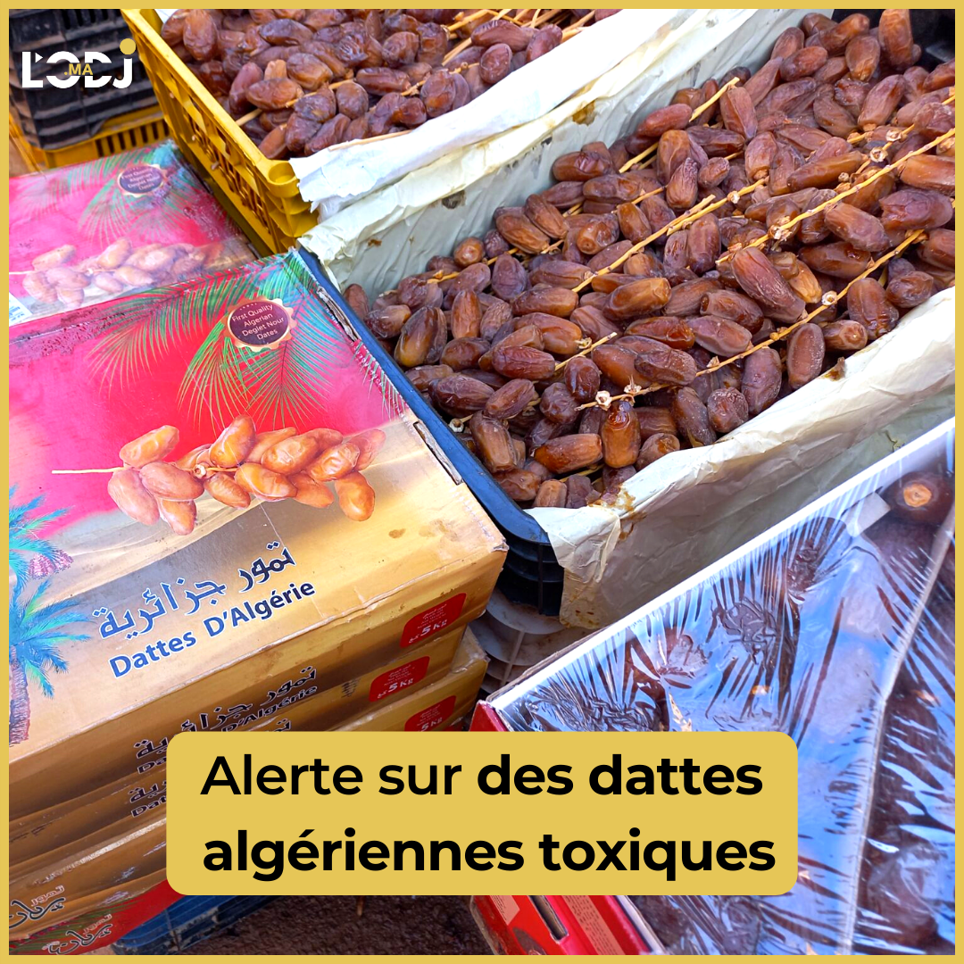 Alerte sur des dattes algériennes toxiques