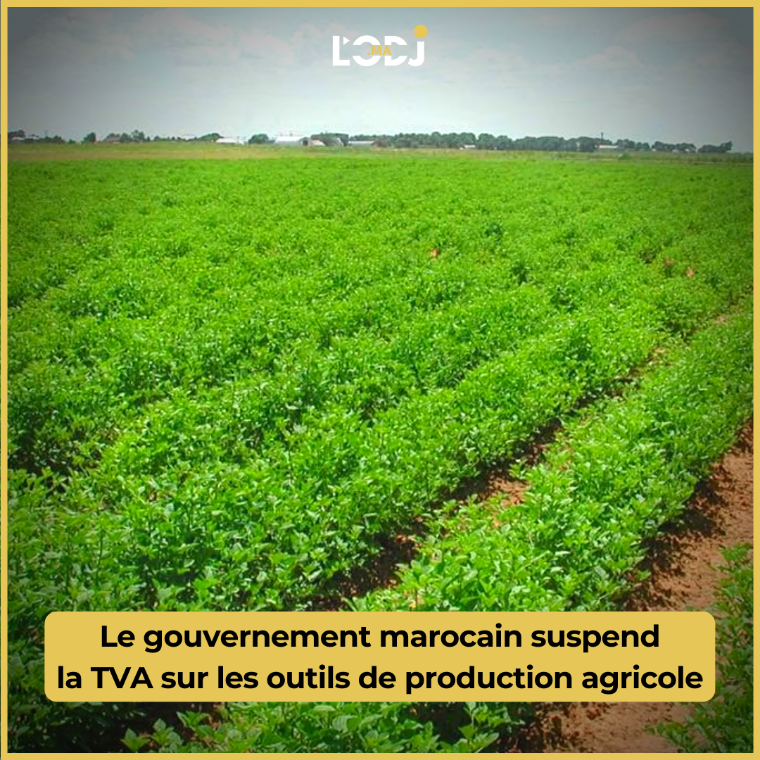 Le gouvernement marocain suspend la TVA sur les outils de production agricole