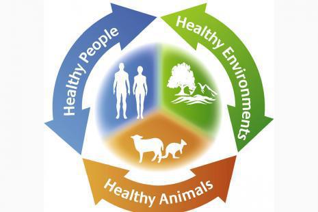 Comment adopter l’approche "One Health" au Maroc ?