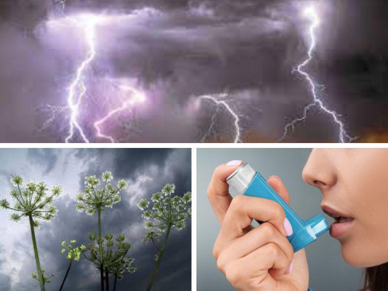 L'asthme d'orage existe bien !
