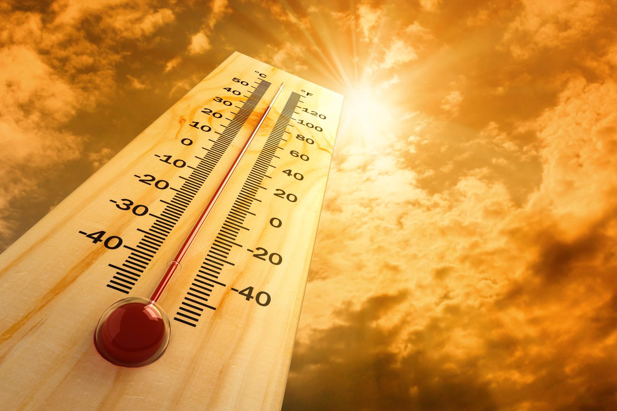 Impact du changement climatique : Pourquoi Novembre devient-il plus chaud ?