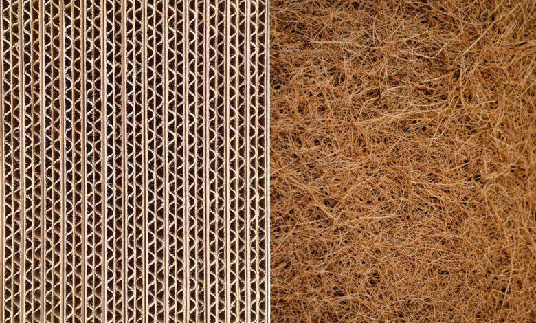   Développement de panneaux d'isolation thermique bio-composite à base de carton et de fibres de palmier dattier. Crédit : Shutterstock 