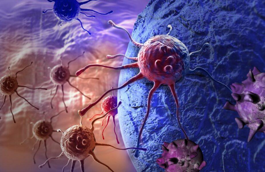 Journée mondiale contre le cancer : la recherche avance à l’Inserm