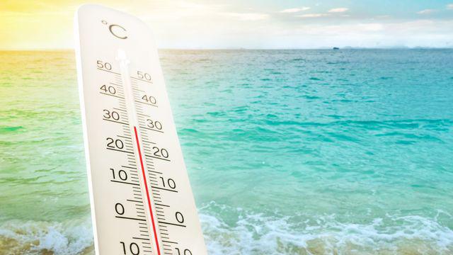 32% des surfaces océaniques ont subi chaque jour une canicule marine en 2023 avertit l'organisation météorologique mondiale dans son dernier rapport