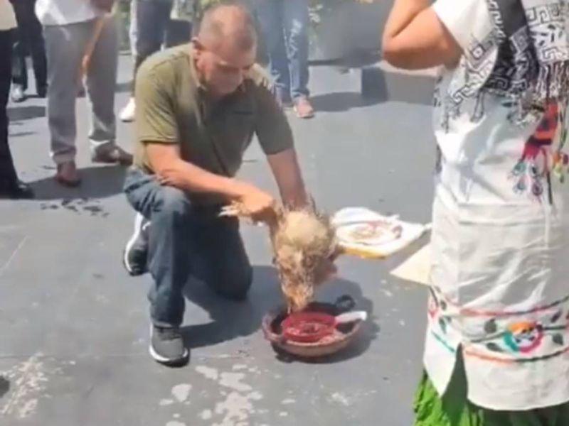 Insolite sacrifice de poule au Sénat mexicain
