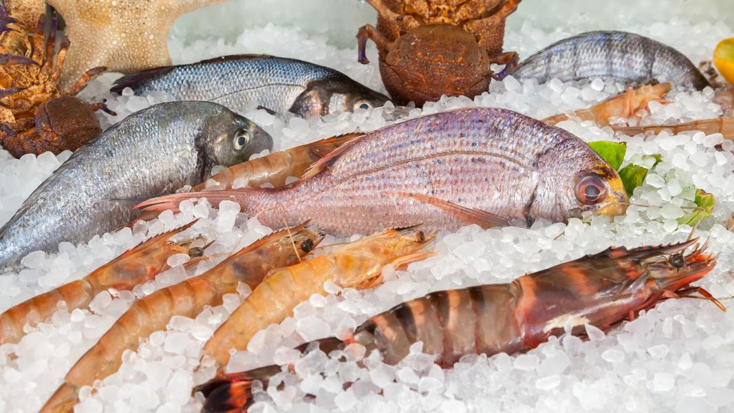 Comment savoir si un poisson est frais ?