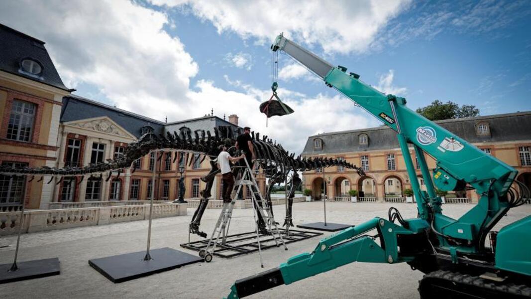 "Vulcain" : le plus grand dinosaure jamais mis aux enchères