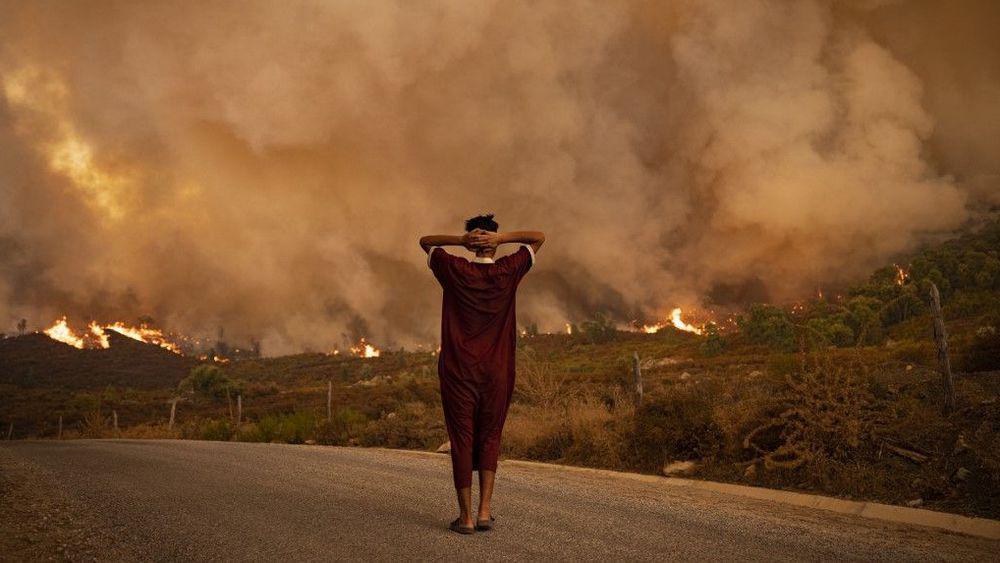 Alerte Incendies : Risque élevé à extrême dans plusieurs provinces du Maroc