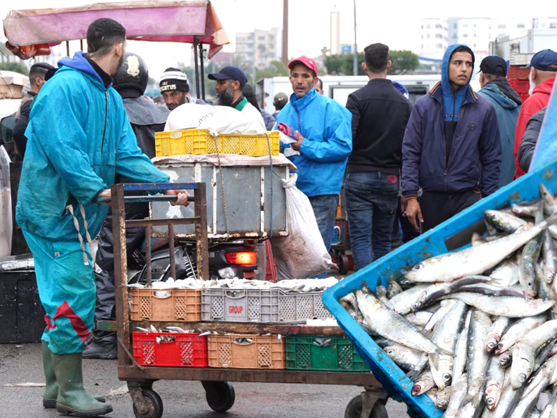 Les sardines à 5 dirhams qui expose les failles du marché marocain