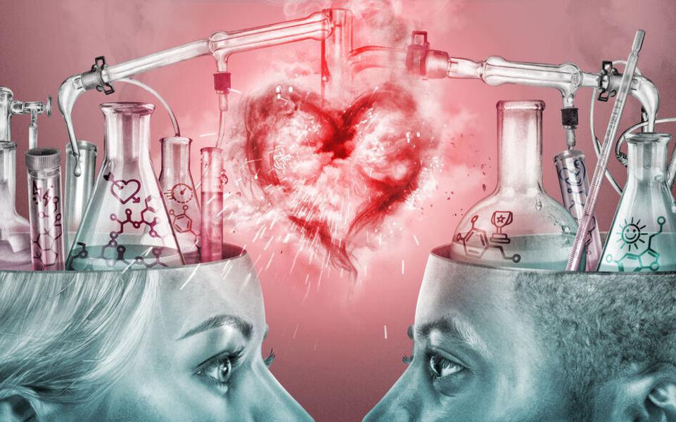 L’amour, une affaire d’hormones ?