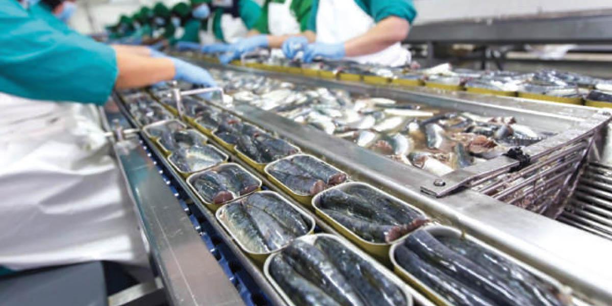 Made in Morocco : L'appel à l'aide des professionnels de la conserve de poisson