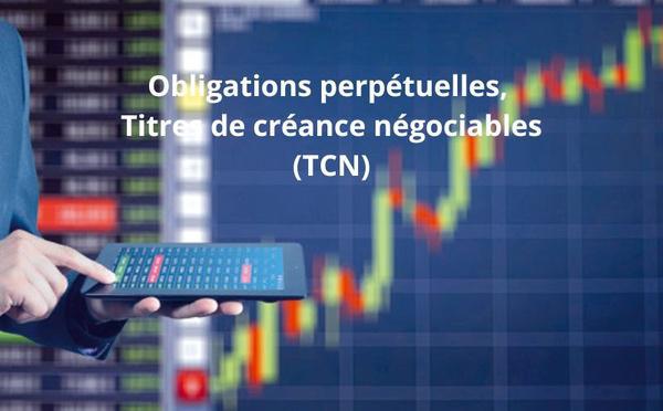 Obligations perpétuelles, TCN, placements privés : les nouvelles armes financières des grandes entreprises