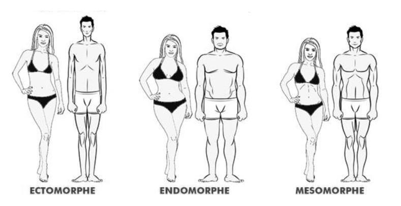 La vérité sur la perte de poids ! La vérité sur la perte de poids !